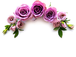 Framework from roses on white background.