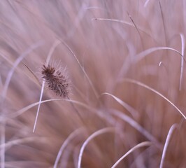 head © Agnieszka