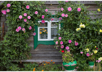 Fototapeta na wymiar Fabulous wooden window among flowers.