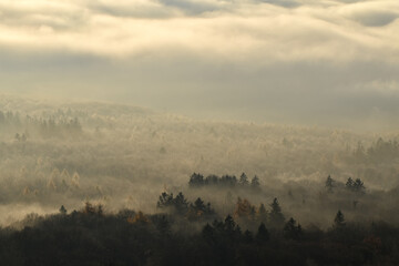 Herbstmorgen über dem Nationalpark Hunsrück-Hochwald