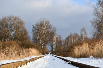 The old railway, going away among bare trees and bushes. Narrow gauge in the snow. Winter landscape.
