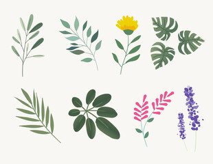 Set of natural and floral elements for graphic and web design. Vector illustrations for natural and organic products, beauty, fashion, spa and wellness, wedding and events, environment.