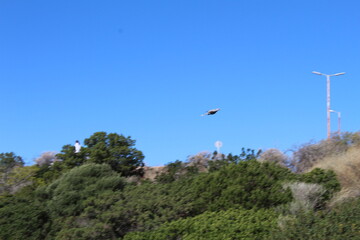 Fototapeta premium paragliding in the mountain