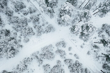Drone point of view on forest road trees covered in snow, frozen winter landscape