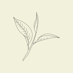Vector hand drawn icon illustration of tea leafs isolated on beige background. 
