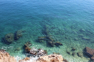 coral reef and sea