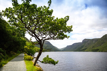 Glenveagh National Park, Donegal in Northern Ireland. Beautiful rough landscape with green moss forest, lake, park and waterfall, second largest park of the country. Gleann Bheatha in Irish language