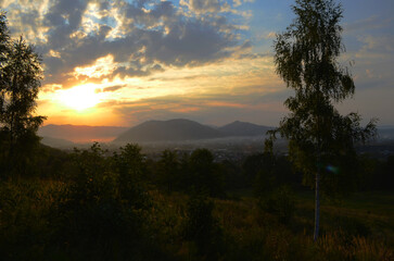 A rural field in the sun's contoured light against a background of trees.Evening summer landscape