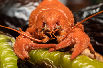 Red boiled cancer on green pepper. Close-up front view.