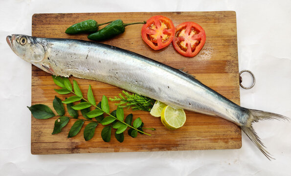 Fresh Dorab wolf herring fish decorated with herbs and vegetables on a wooden pad,White background.Selective focus.