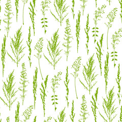 Seamless pattern with green grass on a white background - ornament with wild herbs for natural design of textiles, wallpaper and wrapping paper