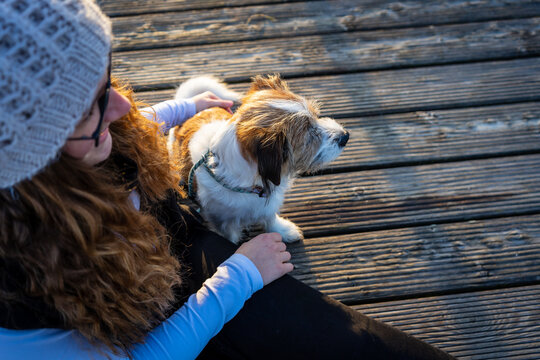 Wollhaare Bilder Durchsuchen 431 Archivfotos, und