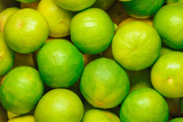 Green lime background. 