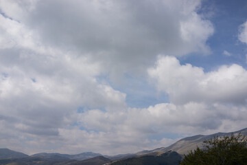 Beautiful natural landscape in the summer time