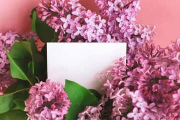 white blank card for your text in a beautiful bouquet of lilac flowers in spring time 