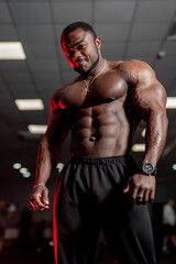 Athlete with very big muscles shows strong hands in gym. African american bodybuilder poses to the...