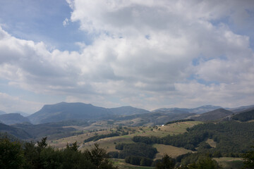 Fototapeta premium Beautiful natural landscape in the summer time