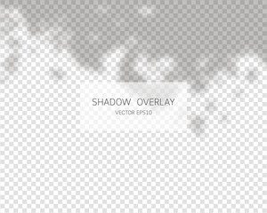 Shadow overlay effect. Natural shadows isolated on transparent background. Vector illustration. 