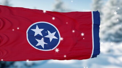 Tennessee winter snowflakes flag background. United States of America. 3d illustration