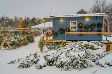 snow covered Christmas trees  for sale in a lot 
