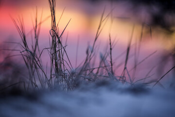 Obraz premium Winter sunset