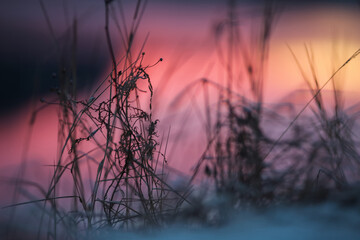 Fototapeta premium Winter sunset