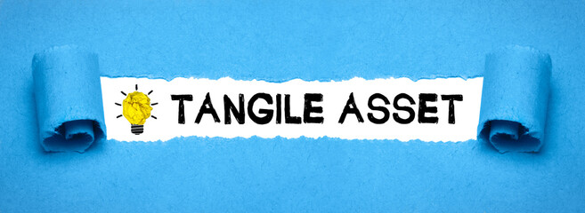 Tangile Asset 