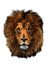 lion head