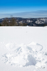 Fototapeta na wymiar snow angel design made in fresh snow in the mountains