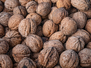 Background with fresh wild walnuts