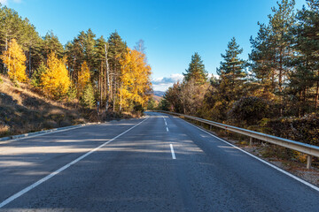 Asphalt road with beautiful trees on the sides in autumn.