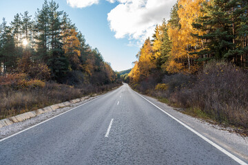 Asphalt road with beautiful trees on the sides in autumn.