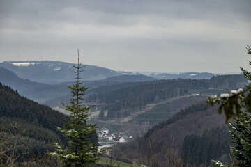 Panorama vom verschneiten Winterwald