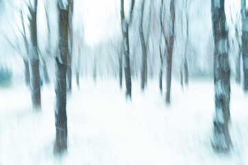 ntentional camera movement, winter Christmas background, winter forest park in Warsaw, Poland
