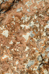 Rusty orange natural background texture, vertical shot