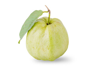Guava fruit with leaves isolated