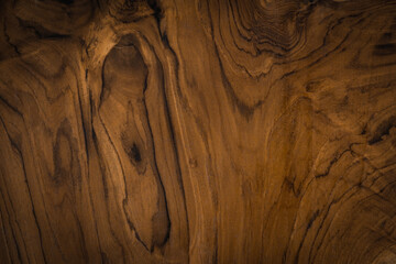 Dark wood panel texture with natural pattern is used for the background.