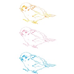 Drawing Tree sparrows by pencils, 