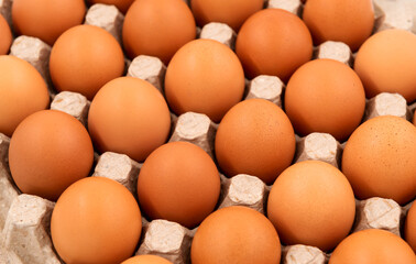 Chicken eggs in an organic box on a white background close-up. Easter
