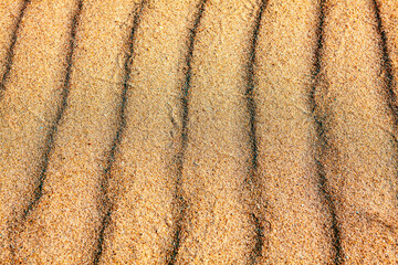 Waves on the sand . Sandy background . Sahara desert surface