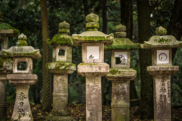 Fototapeta na wymiar Japanese Stone Lanterns