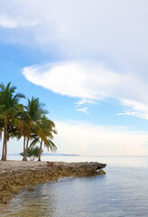 Fototapeta na wymiar Palm Trees on the Beach. Sea View.