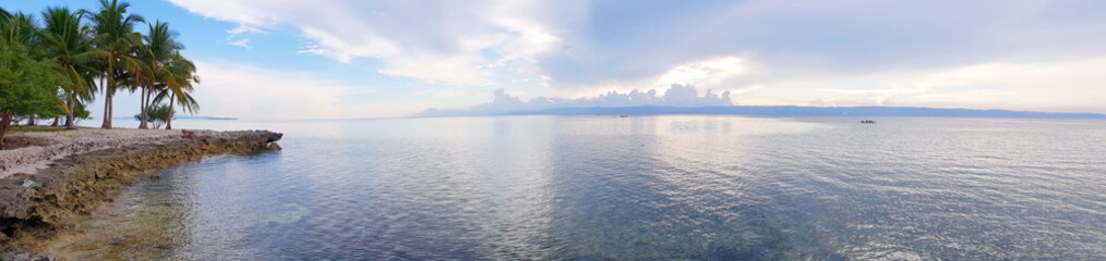 Palm Trees on the Beach. Sea View.