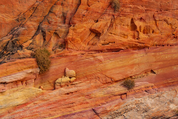 Stained Sandstone in Valley of Fire State Park