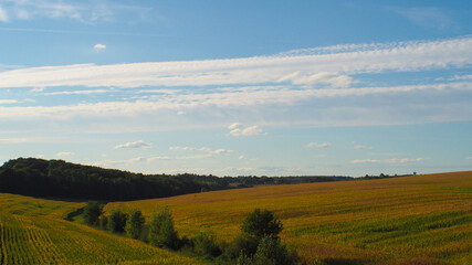 Paysage gersois, sous une chaude journée estivale.  Les champs de maïs dominent ces grandes plaines