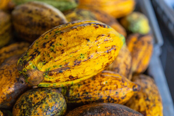 .Cocoa and cocoa pods in crates for sale