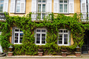 Fototapeta na wymiar Front view of the green facade of a beautiful hotel building in the city of Triberg, Germany.