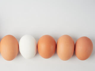 Chicken eggs in containers on a white background.    