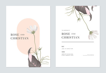 Floral wedding invitation card template design, white cosmos flowers with leaves © momosama
