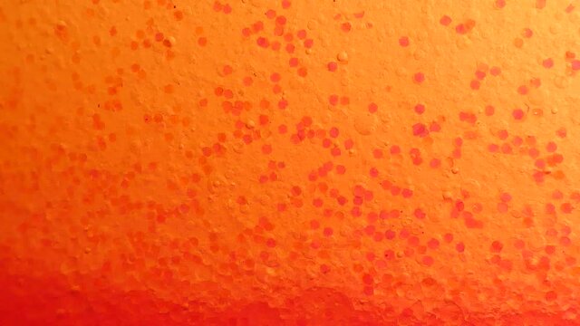 Abstract pink oil bubbles background.